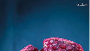 book cover showing title and pomegranate